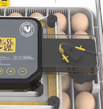 Origin 48 Incubator