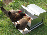 Standard Grandpa Chicken Feeder