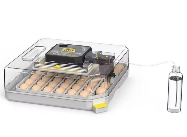 Egg & cabinet incubators