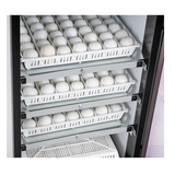 Brinsea Ova Easy 190 EX Connect Series III Incubator