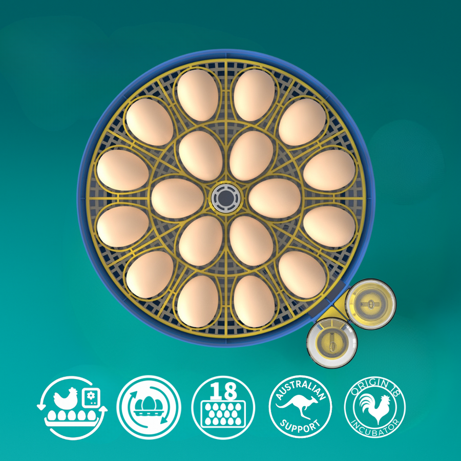 Origin 18 Incubator