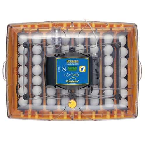 Brinsea Ovation 56 EX Connect Incubator