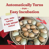 Nurture Right 360 Egg Incubator