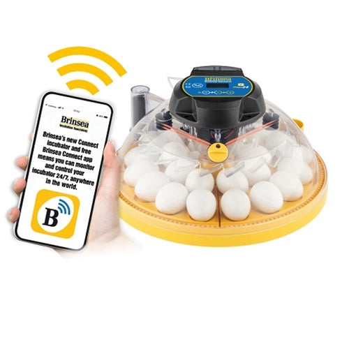 Brinsea Maxi 24 EX Connect App Controlled 24 Egg Incubator