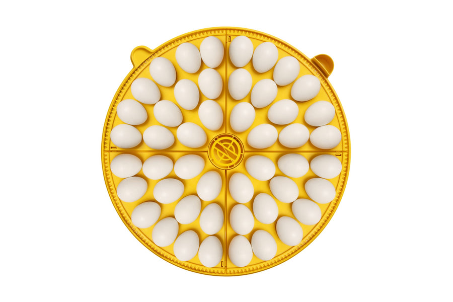 Brinsea Maxi 48 EX Connect 48 Egg Incubator