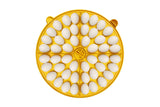 Brinsea Maxi 48 EX 48 Egg Incubator