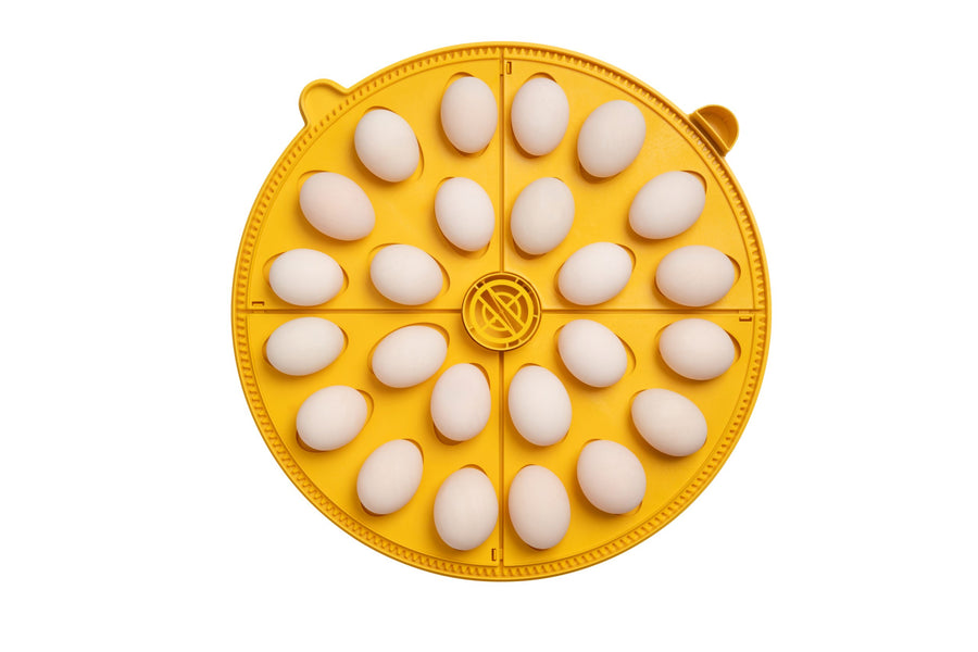Brinsea Maxi 48 EX 48 Egg Incubator