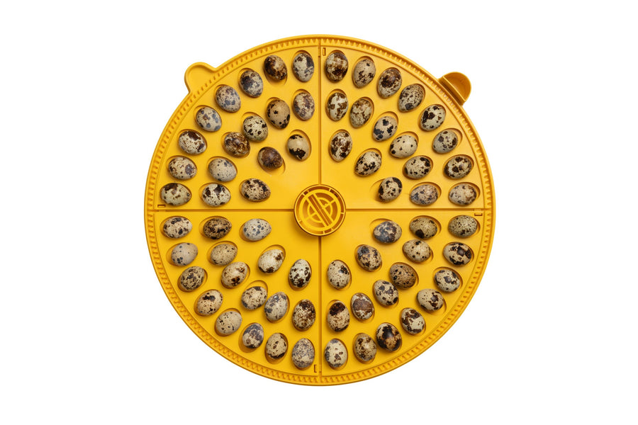 Brinsea Maxi 48 EX 48 Egg Incubator