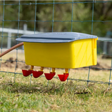 Bainbridge Automatic Poultry Waterer – High Pressure Float