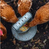 Bainbridge Chicken Playground — Recycled Play & Feed Tower