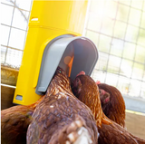 Bainbridge Chook Tower - Feeder