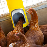 Bainbridge Chook Tower - Feeder
