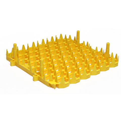 GQF 0246 - 6 Universal Egg Trays