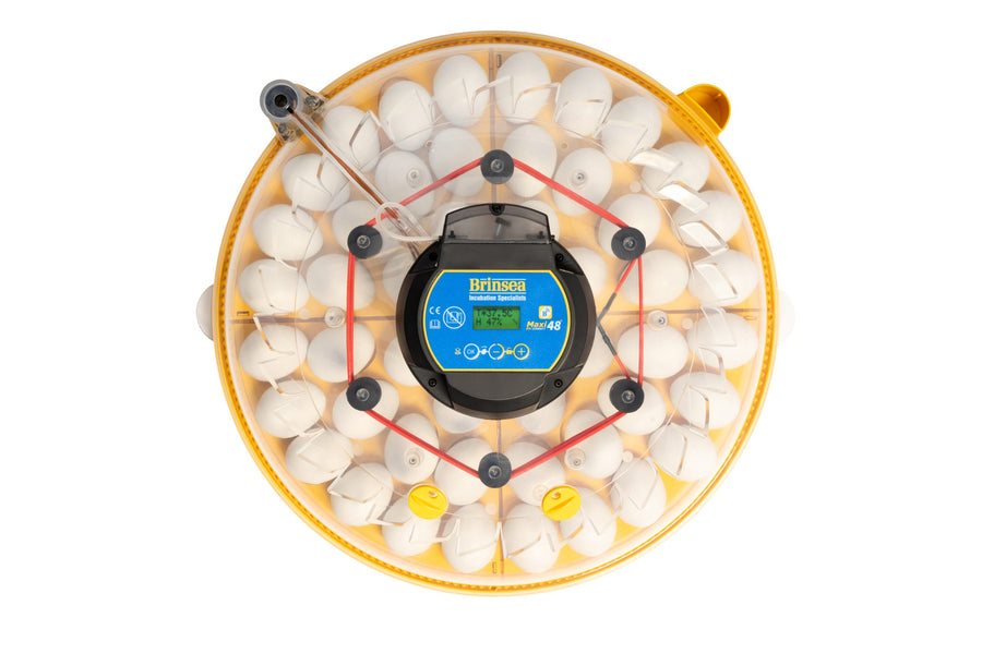 Brinsea Maxi 48 EX Connect 48 Egg Incubator