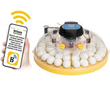 Brinsea Maxi 48 EX Connect 48 Egg Incubator