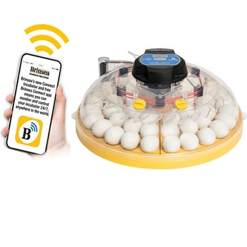 Brinsea Maxi 48 EX Connect 48 Egg Incubator