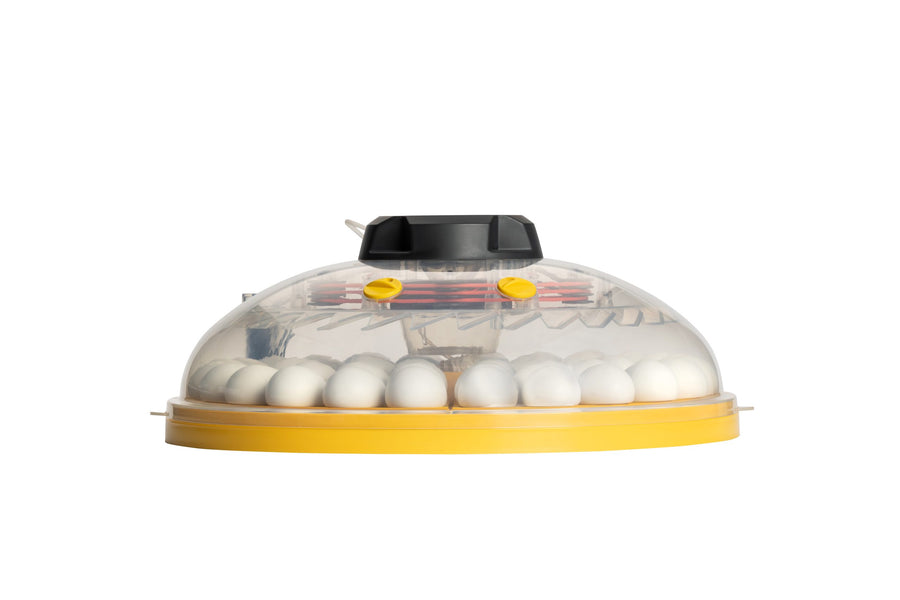 Brinsea Maxi 48 EX Connect 48 Egg Incubator