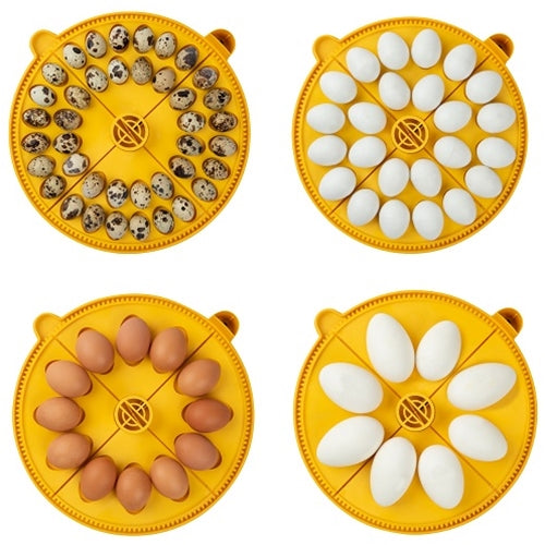 Brinsea Maxi II Advance Fully Digital 24 Egg Incubator