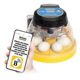 Brinsea Mini II EX Connect 7 Egg Incubator