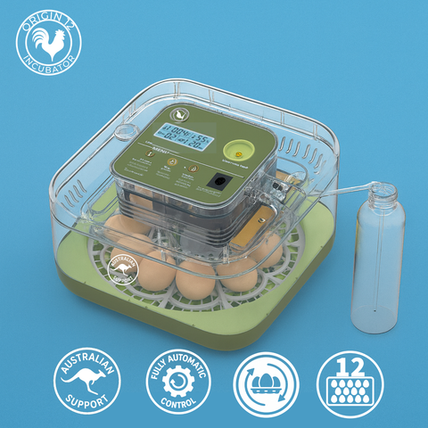 Origin 12 Incubator