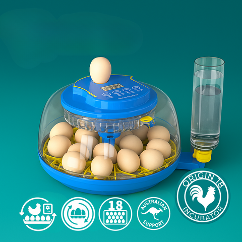 Origin 18 Incubator