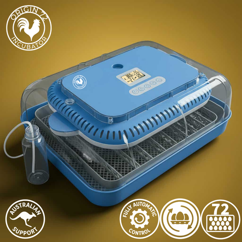 Origin 72 Incubator