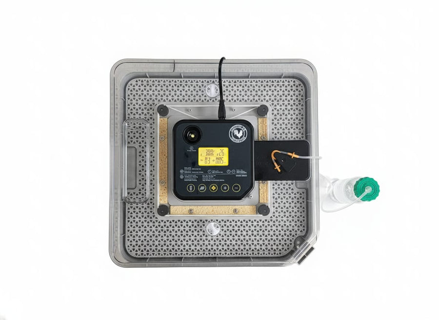Origin 48 Incubator