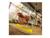 Bainbridge Chicken Swing