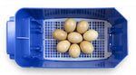 BOROTTO LUMIA 8 AUTOMATIC INCUBATOR