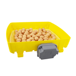 Rivers EggTech Antibacterial Automatic Incubators