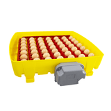 Rivers EggTech Antibacterial Automatic Incubators