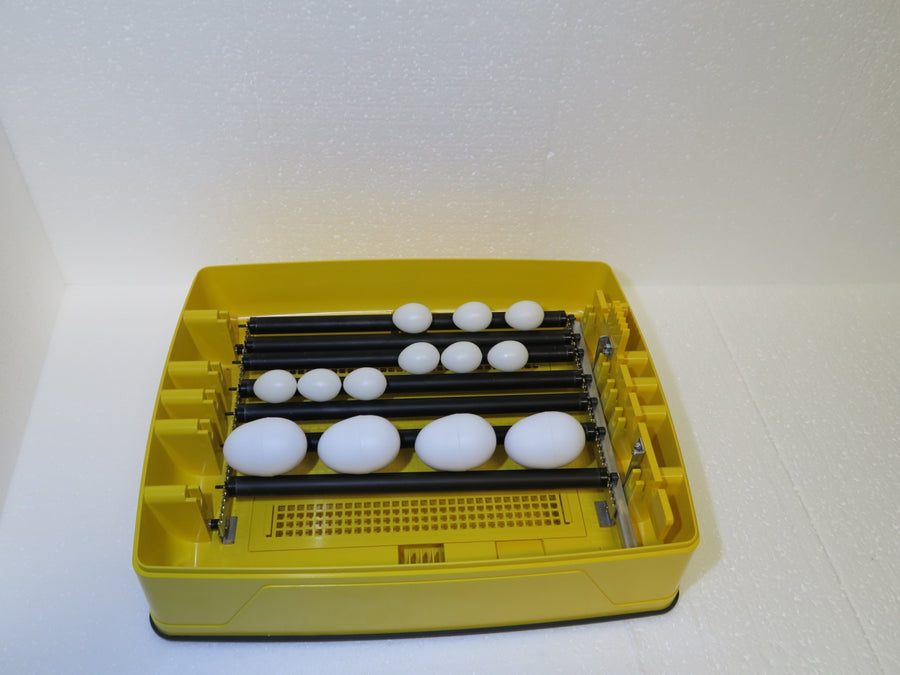 Brinsea Ovation 28 Zoologica Parrot Exotic Incubator