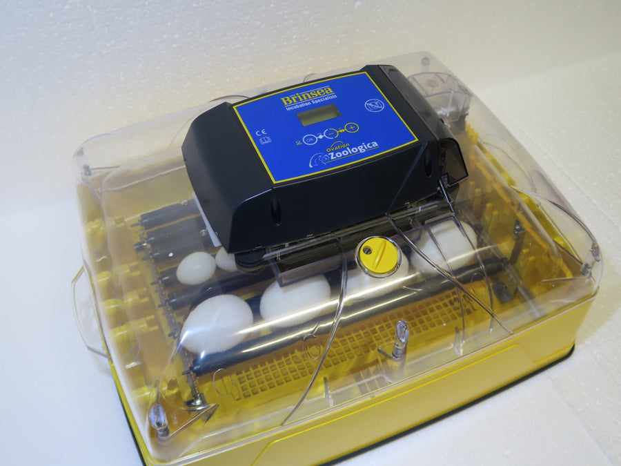 Brinsea Ovation 28 Zoologica Parrot Exotic Incubator