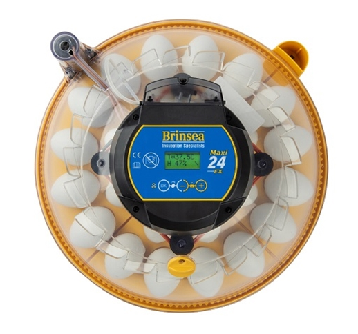 Brinsea Maxi 24 EX Fully Automatic 24 Egg Incubator