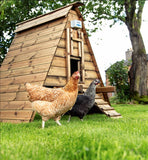 ChickenGuard Premium