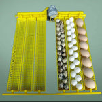Janoel 48 Complete Egg Tray Assembly