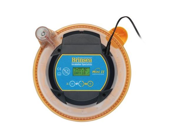 Brinsea Mini II Advance Egg Incubator