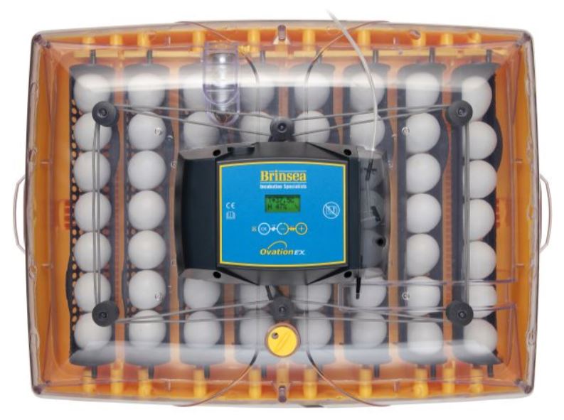 Brinsea Ovation 56 EX Fully Automatic Digital Egg Incubator