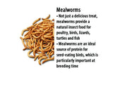 Dried Australian Mealworms
